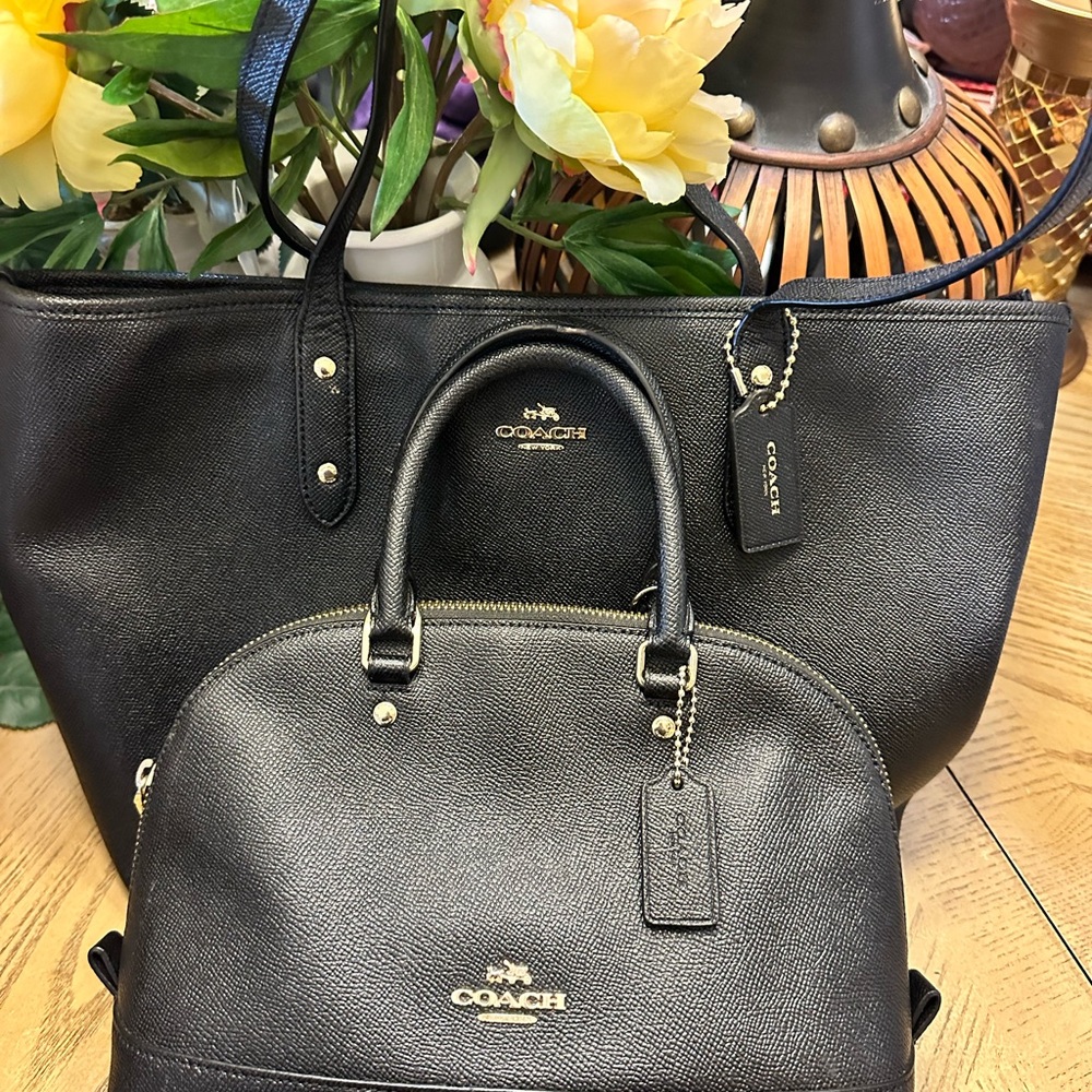 Excellent condition Coach medium tote and matching Mini Sierra satchel.